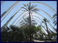 City of Arts and Sciences 030 - L'Umbracle, a 320 m long garden walk that is like an entrance. It has over 100 palm trees.